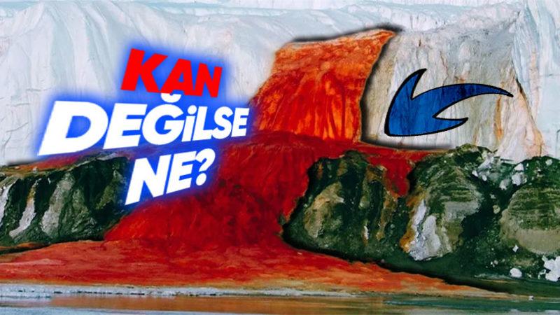 Antarktika’daki Bu Şelaleden Neden Kan Gibi Kırmızı Su Akıyor?