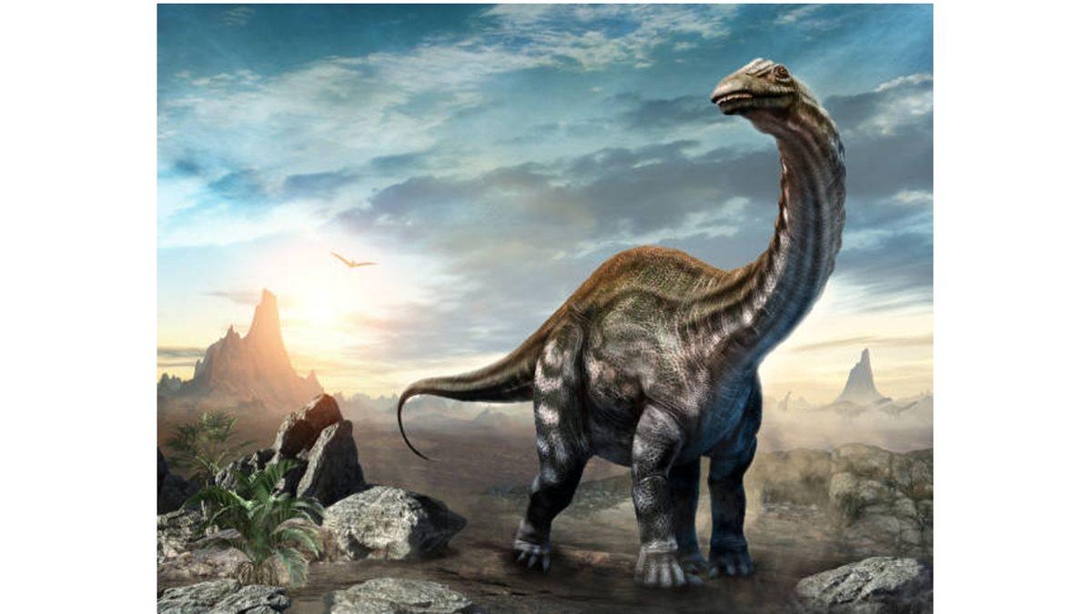 On Milyonlarca Yıl Dünyada Hüküm Süren Dinozorların Ortalama Yaşı Ne Kadardı? 100 Yaşında Olanlar Bile Var!