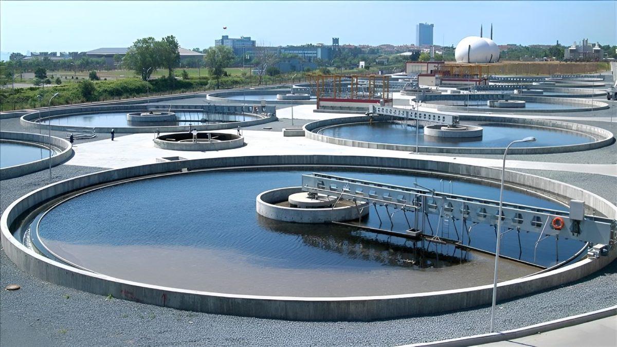 Dünyada Kalan Tek İnsan Olsaydık Bizi Neler Bekliyor Olurdu?