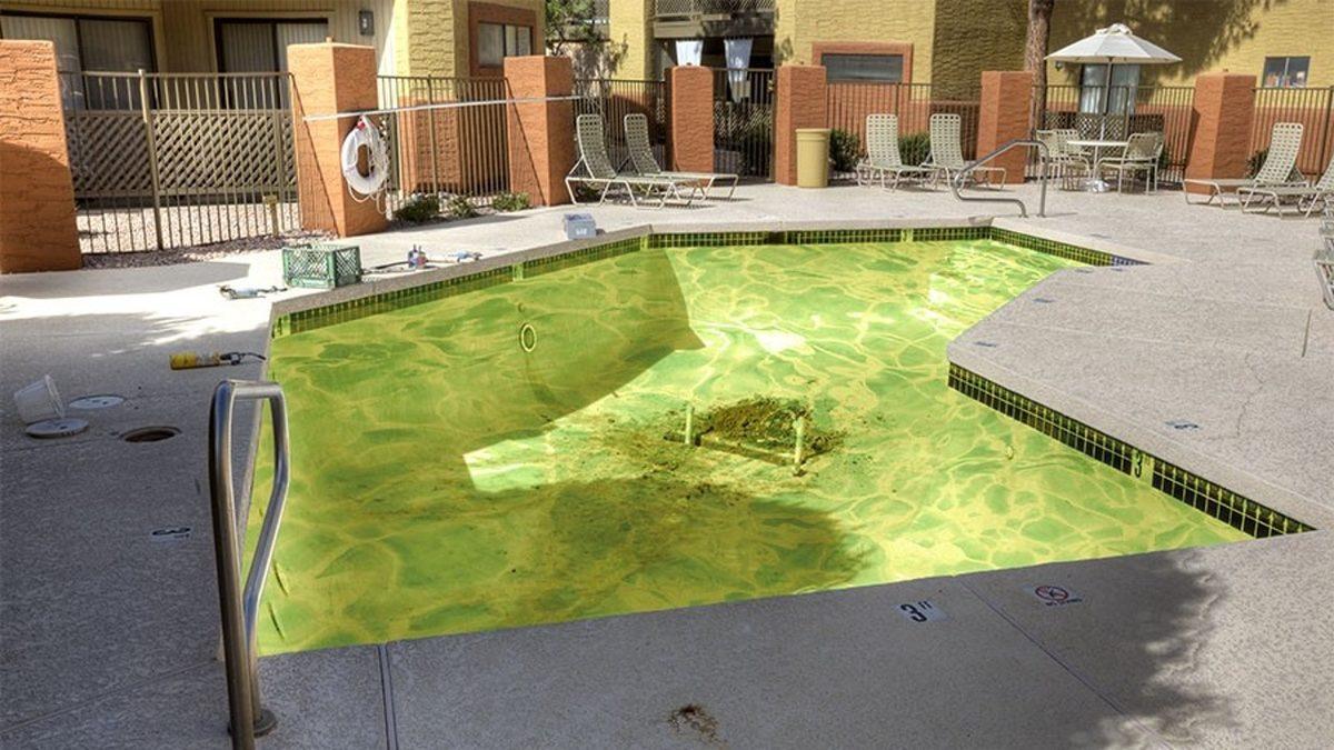 Denizde veya Havuzdayken Neden Hemen Çişimiz Gelir? Girdiğimiz Suyun İçinde Kaç Litre İdrar Olduğunu Öğrenince Biraz Mideniz Bulanabilir…