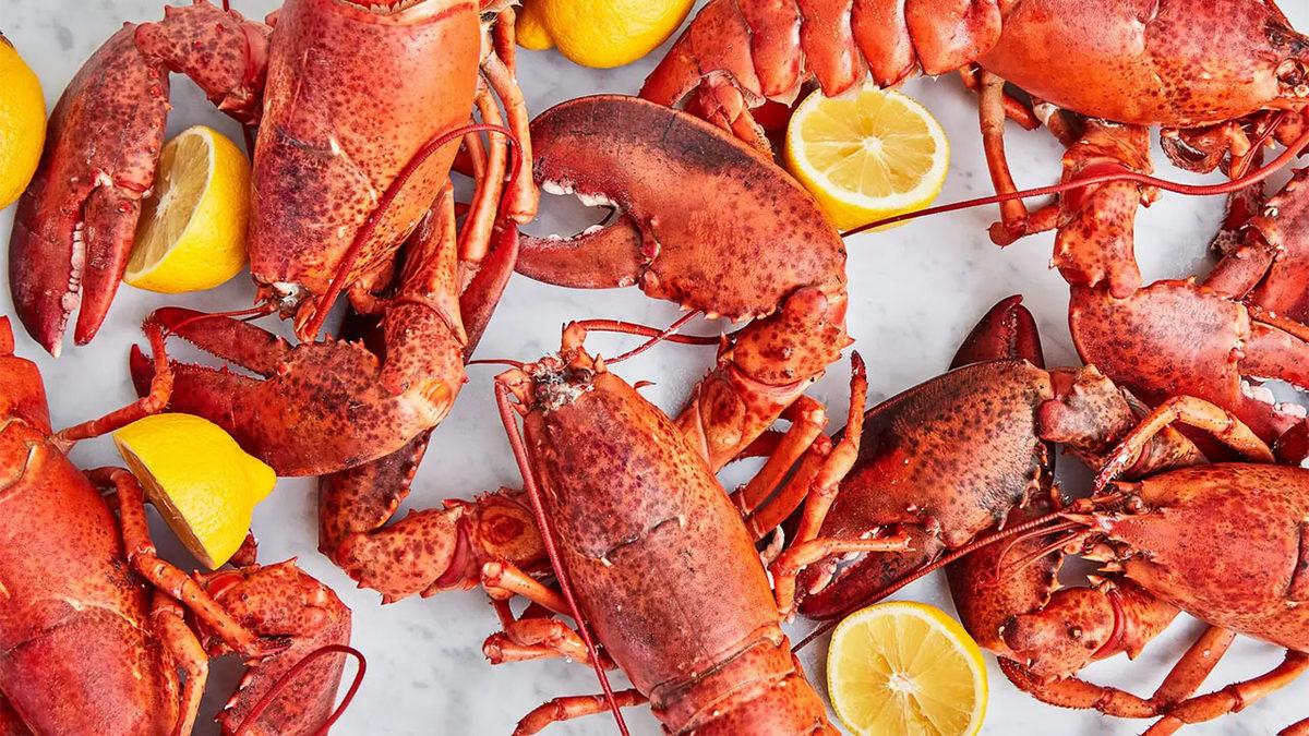 Istakoz ve Yengeçler Neden Pişirildiğinde Bir Anda Kırmızıya Bürünüyor?