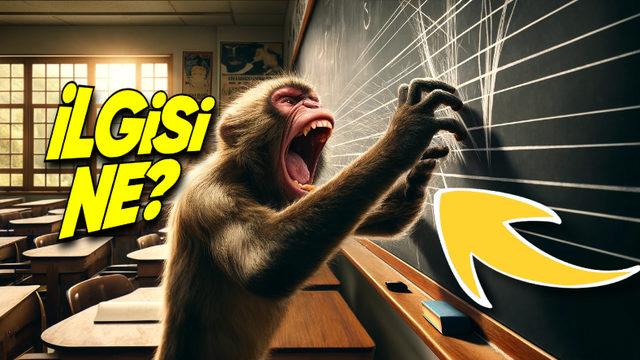 Kara Tahtaya Sürülen Tırnak Sesinin Bizi Bu Kadar Rahatsız Etmesinin 40 Yıl Düşünseniz Aklınıza Gelmeyecek Sebebi