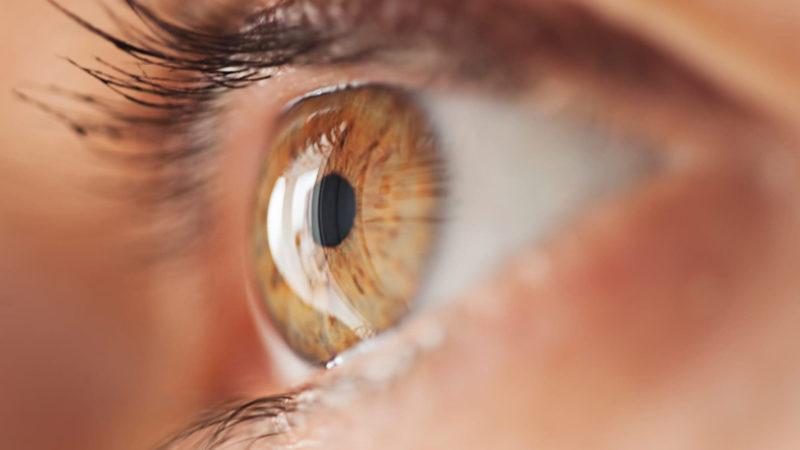 Nöron Boyutundaki Bir İmplant, Görme Engellilere Umut Olabilir