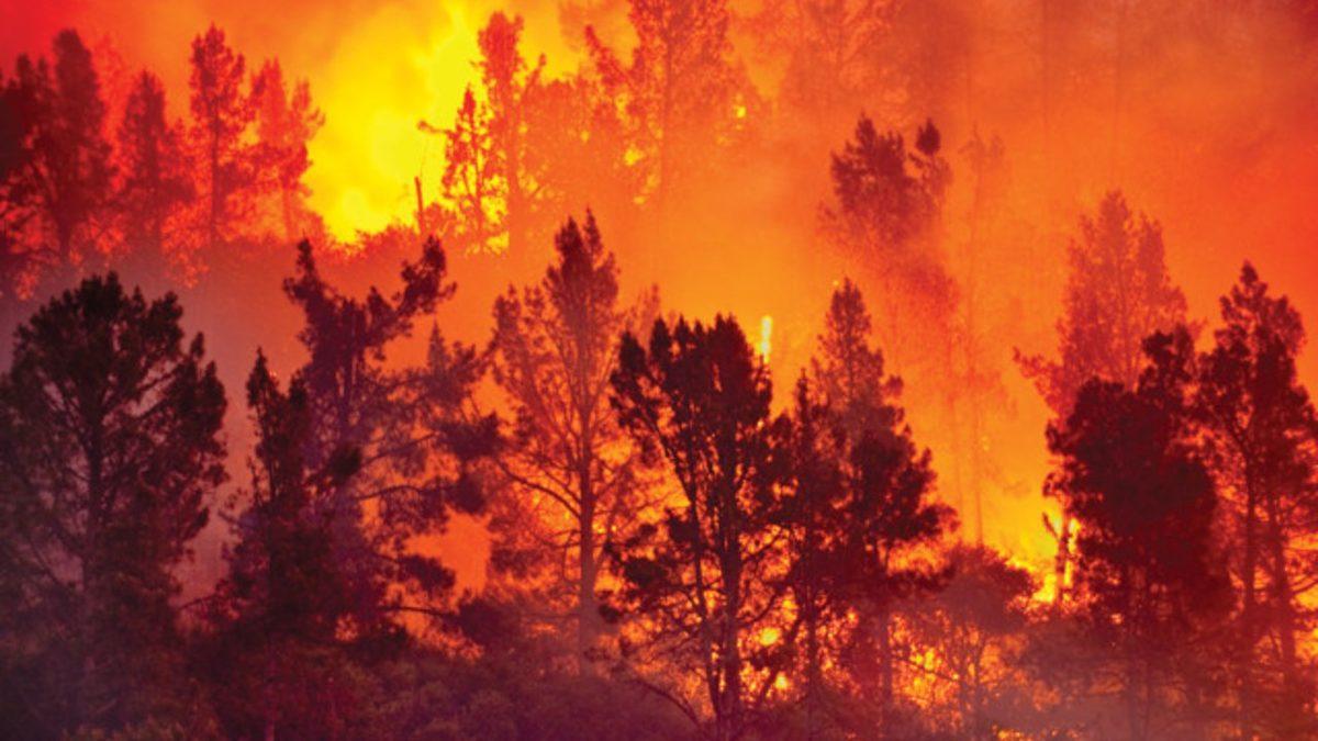 Dünyadaki İlk Yangın İlk Defa Ne Zaman, Nasıl ve Nerede Çıktı? Milyarlarca Yıl Yoktu!