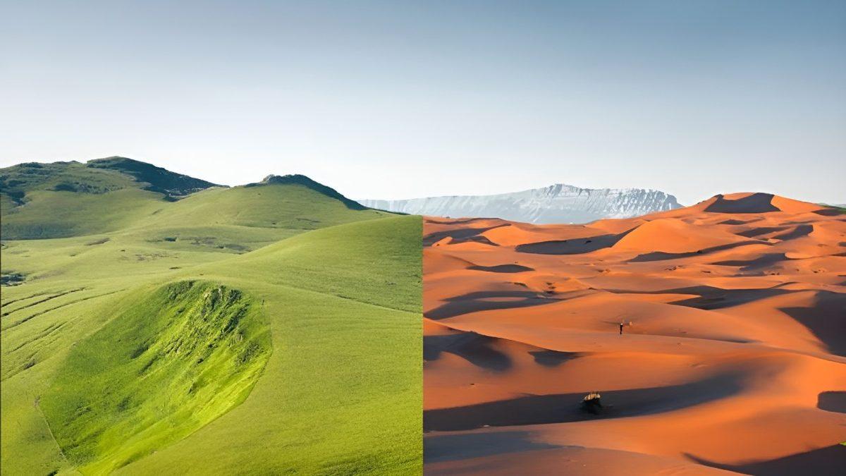 Devasa Kum Tepeleriyle Bildiğimiz Sahra Çölü, Nasıl Oluyor da 21.000 Yılda Bir Yeşilleniyor?