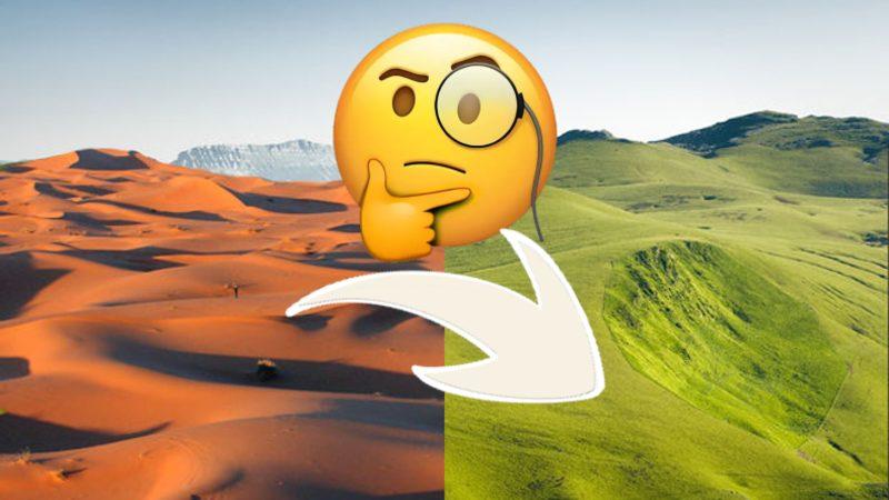 Devasa Kum Tepeleriyle Bildiğimiz Sahra Çölü, Nasıl Oluyor da 21.000 Yılda Bir Yeşilleniyor?