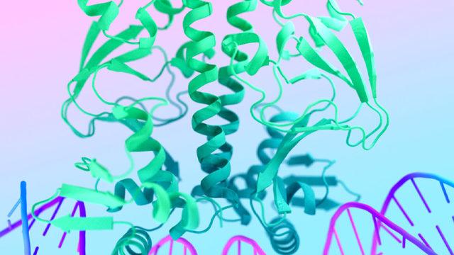 Google, DNA, RNA ve Daha Küçük Molekülleri Modelleyebilen Yeni Yapay Zekâsını Duyurdu