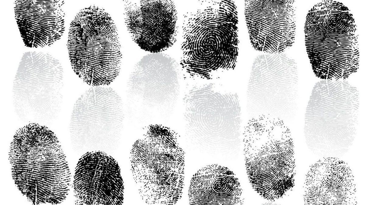 Parmak İzlerimiz Neden Benzersizdir? (Tek Yumurta İkizlerinin Bile Farklı!)