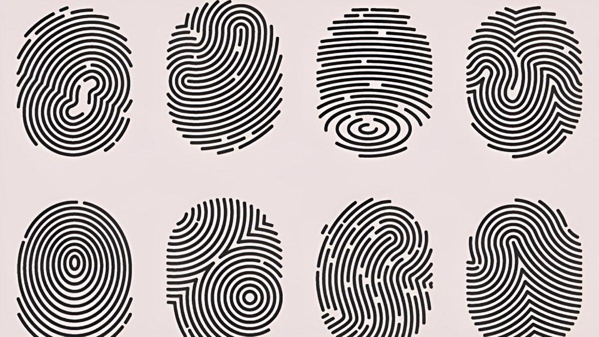 Parmak İzlerimiz Neden Benzersizdir? (Tek Yumurta İkizlerinin Bile Farklı!)