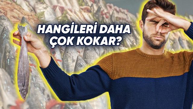 Neden Bazı Deniz Ürünleri Çok Kötü Kokar? Sebeplerini Öğrenince Balıklara Hak Vereceksiniz