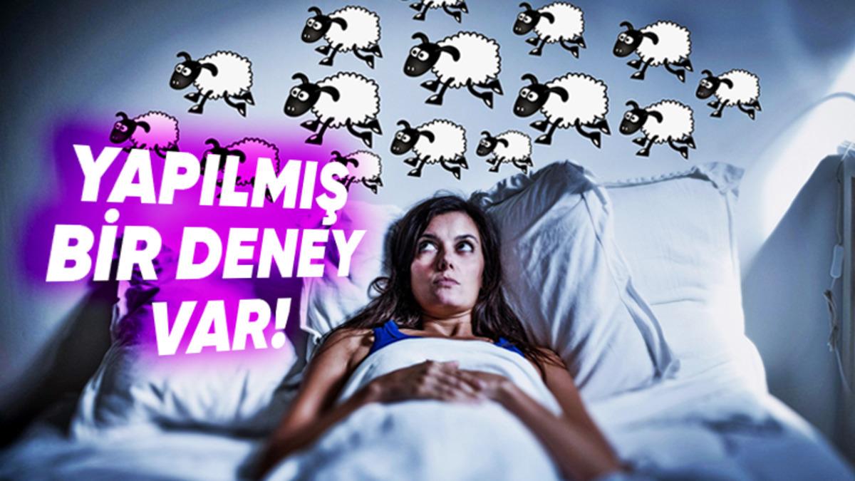Geceleri Yatakta Dönüp Duranlar Buraya: Koyun Saymak Uykuya Dalmayı Gerçekten Kolaylaştırır mı?