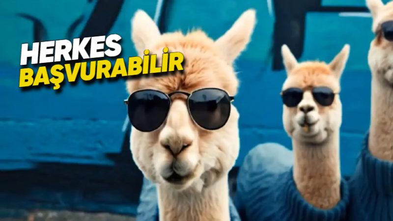 Google, Sora Rakibi Video Üretme Modeli "Veo"yu Belli Kullanıcılarda Erişime Açacak (Siz de Başvurabilirsiniz)