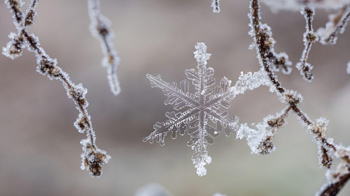 Su Renksiz Olduğu Hâlde Kar Neden Beyaz Görünür? Okuyunca ’’Harbiden Ya’’ Diyeceksiniz!