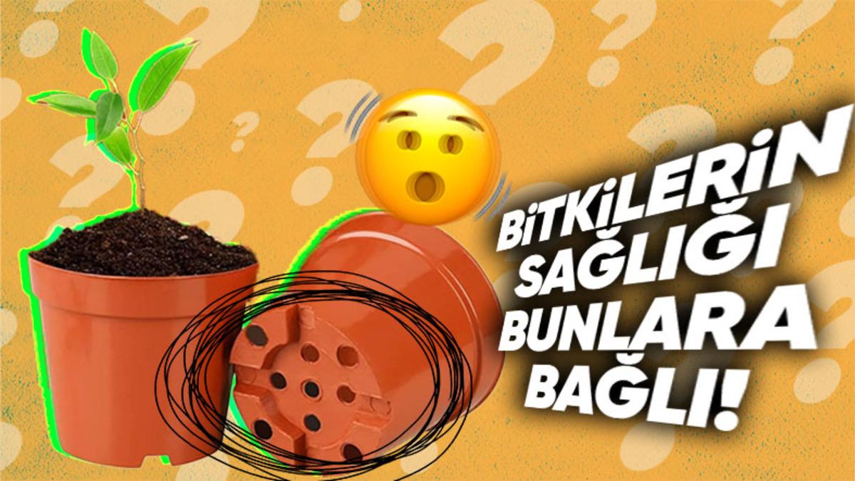 Saksıların Altında Bulunan Bu Küçük Delikler Tam Olarak Ne İşe Yarıyor?