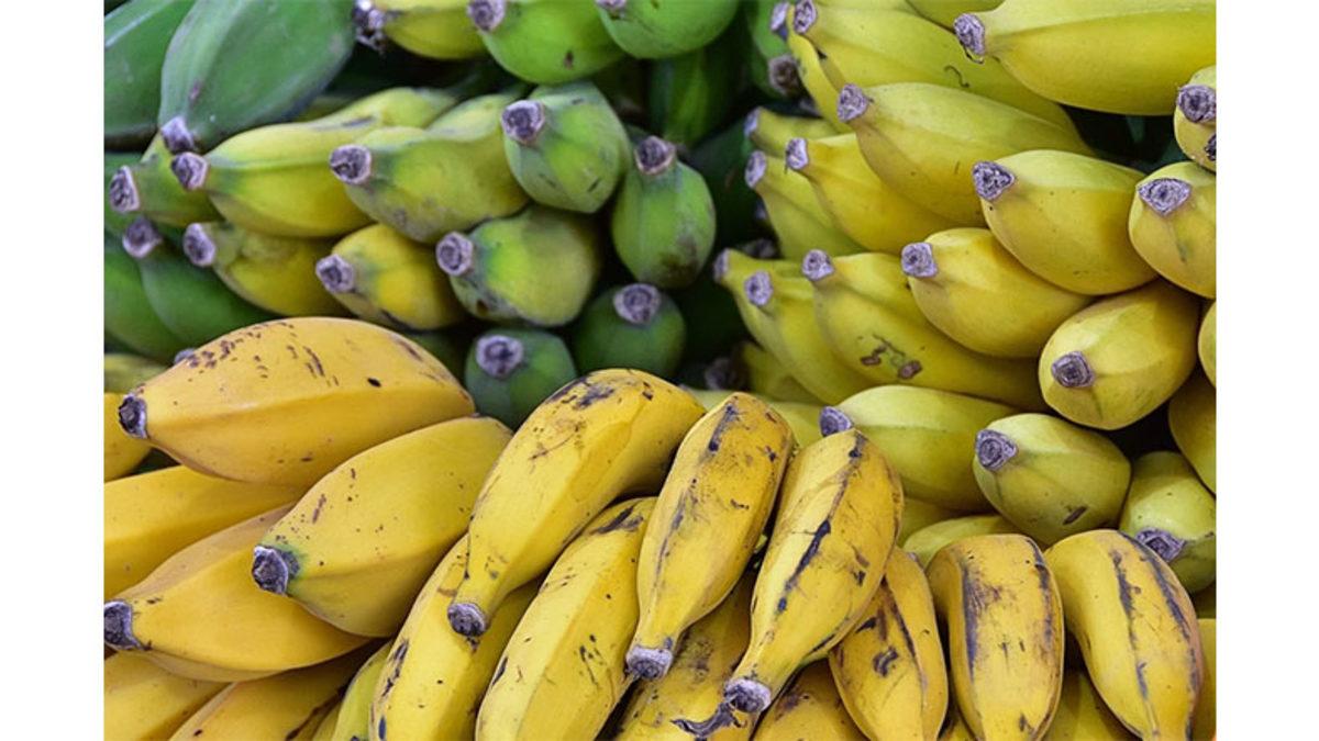 Meyveler Olgunlaştıkça Neden Renkleri de Değişir? (Biyoloji Derslerinde Uyuyanlar Seri Üzgün)