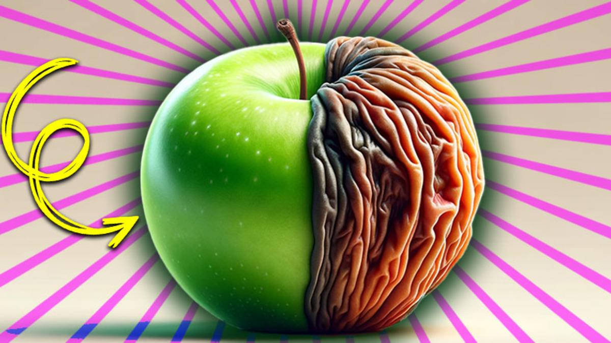 Meyveler Olgunlaştıkça Neden Renkleri de Değişir? (Biyoloji Derslerinde Uyuyanlar Seri Üzgün)