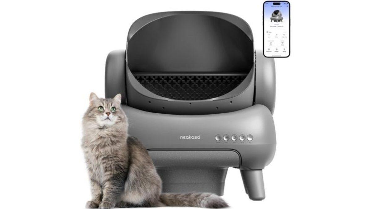 Kedinizin Sağlığı ve Hijyeni İçin En İyisi: Otomatik Kedi Tuvaleti Tavsiyeleri