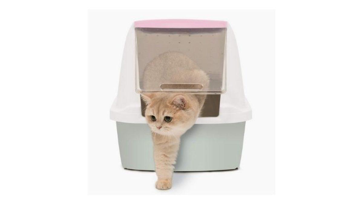 Kedinizin Sağlığı ve Hijyeni İçin En İyisi: Otomatik Kedi Tuvaleti Tavsiyeleri