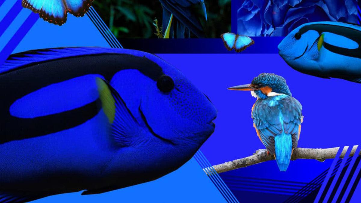 Eski Dillerin Çoğunda 