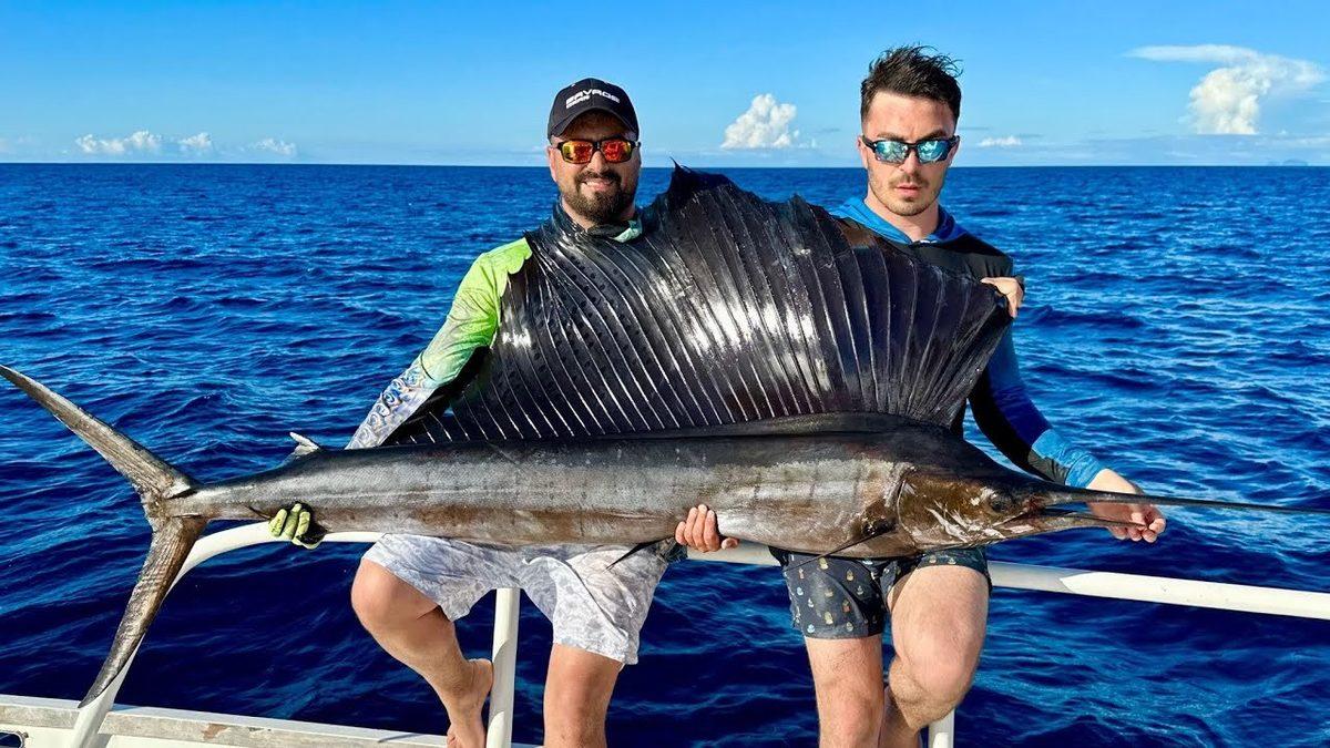 Okyanusların En Hızlı Canlısını Öğrenince Sahip Olduğu Yeteneklere Hayran Kalacaksınız!