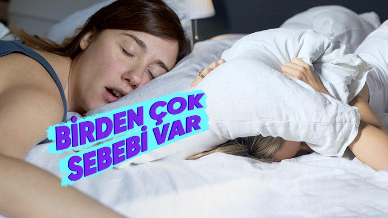Neden Bazılarımız Tilki Uykusu Uyurken Bazılarımız Davul Çalsa Uyanmaz?