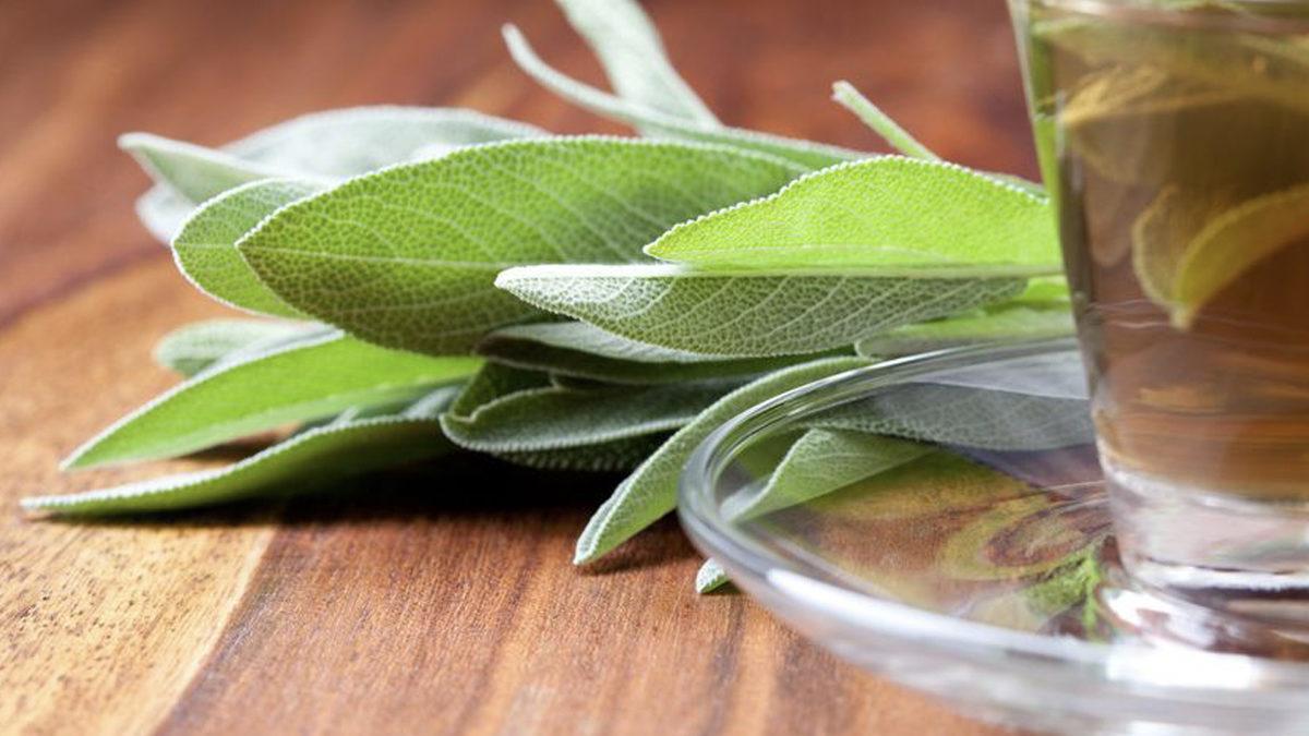 “Yazım Hatası Gördüm mü Affetmem!” Diyenlerin Bile Zorlanacağı Bu Testte 15’te 15 Yapmak İmkânsız!