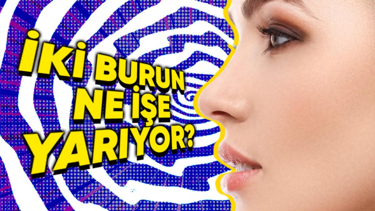 Aslında Bir Değil, İki Burnunuz Olduğunu Biliyor muydunuz? İşte Arkasındaki Bilimsel Açıklama