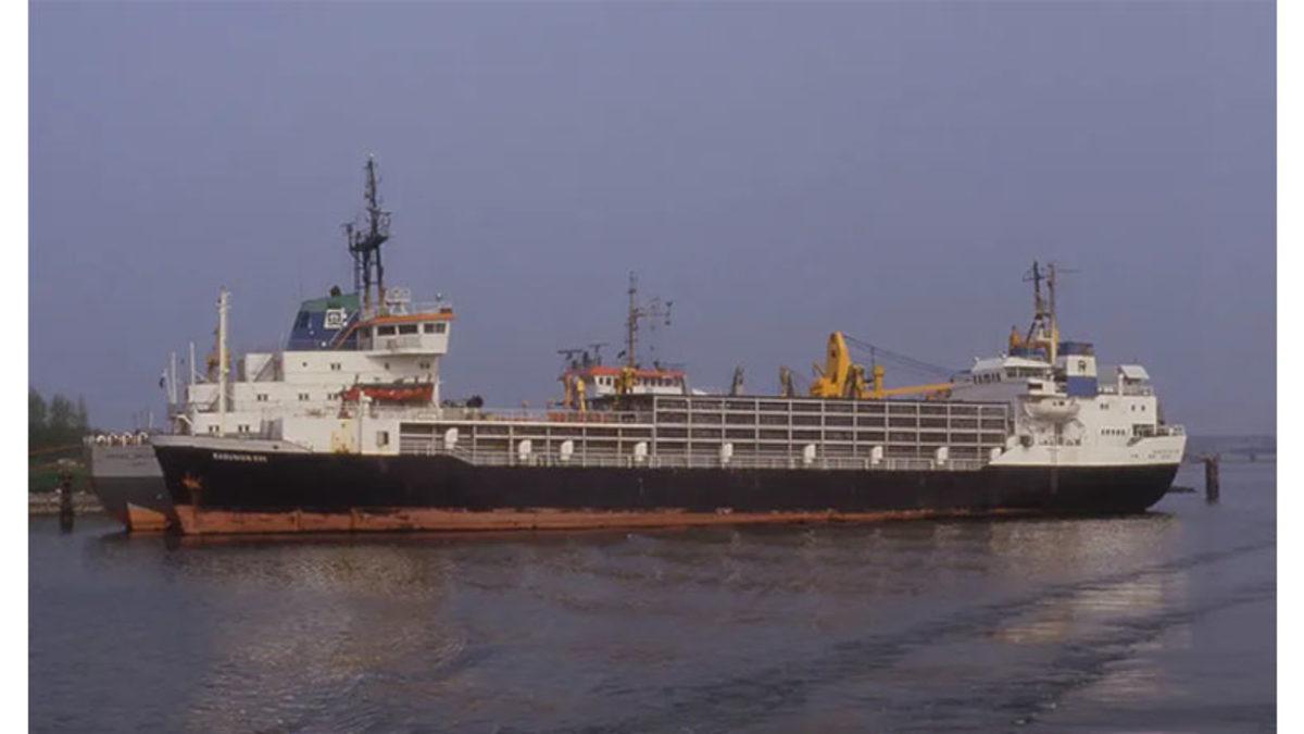 İstanbul Boğazı’nı On Binlerce Şişmiş Koyun Cesediyle Dolduran Korkunç Lübnan Gemisi Felaketi