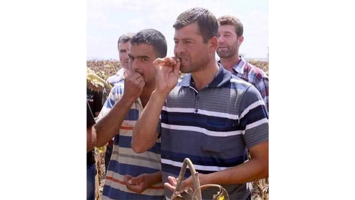 Çekirdek Çitlemeye Başlayınca Neden Kendimizi Bir Türlü Durduramıyoruz?