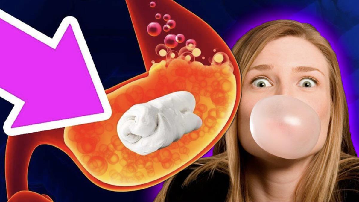 Yuttuğumuz Sakızların Sindirimi Gerçekten 7 Yıl mı Sürüyor?