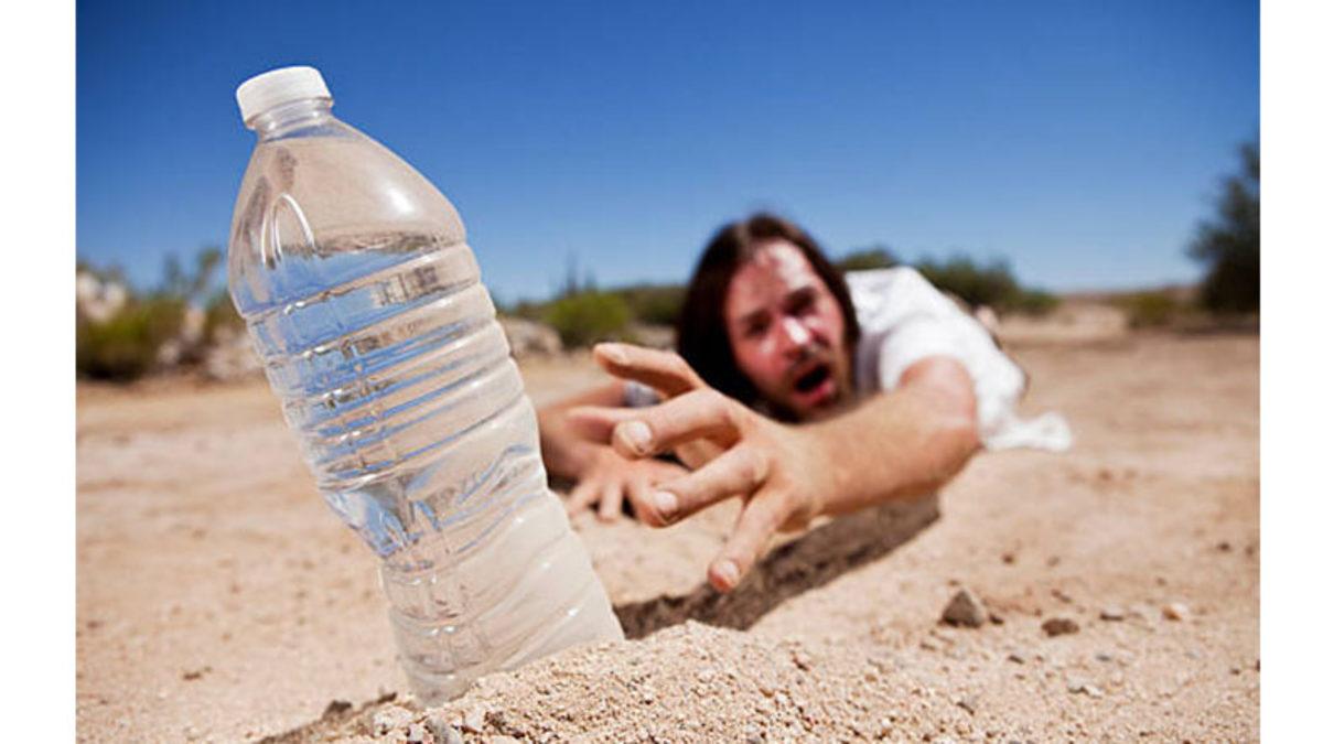 Şeker Yedikten Hemen Sonra Neden Çölde Kalmış Gibi Susarız? (Yaşamamız İçin Gerekli)