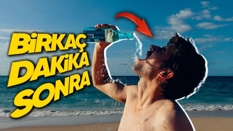 Şeker Yedikten Hemen Sonra Neden Çölde Kalmış Gibi Susarız? (Yaşamamız İçin Gerekli)