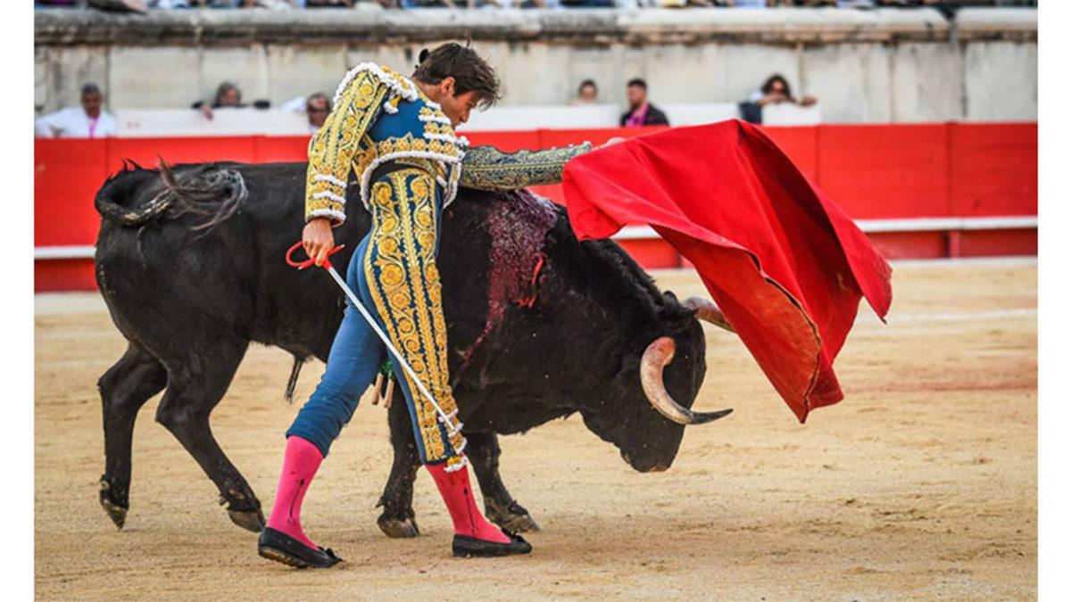 Kırmızı Renk, Boğaları Neden Bu Kadar Kızdırıyor? Belki de Sinirlerinin Sebebi Bu Değildir!