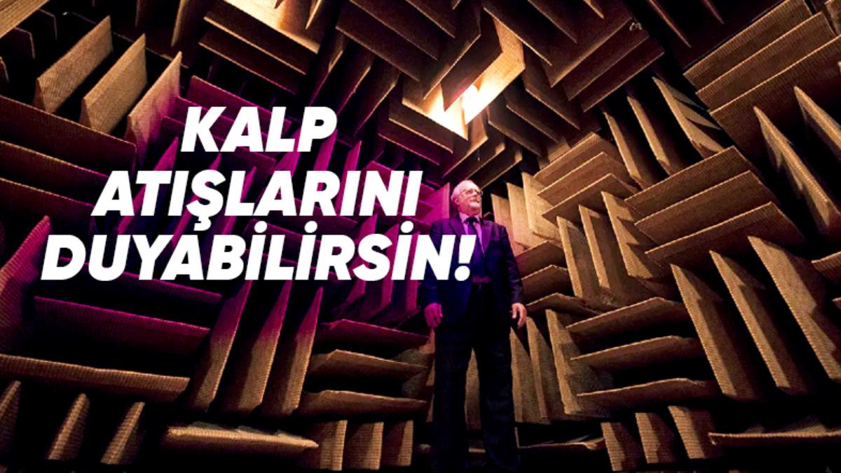 Dünyanın En Sessiz Odasının Ardındaki Dâhiyane Mühendislik: Kalp Atışlarınızı Duyabileceğiniz Kadar Sessiz!