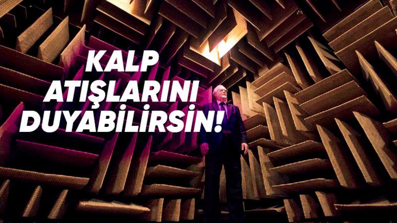 Dünyanın En Sessiz Odasının Ardındaki Dâhiyane Mühendislik: Kalp Atışlarınızı Duyabileceğiniz Kadar Sessiz!
