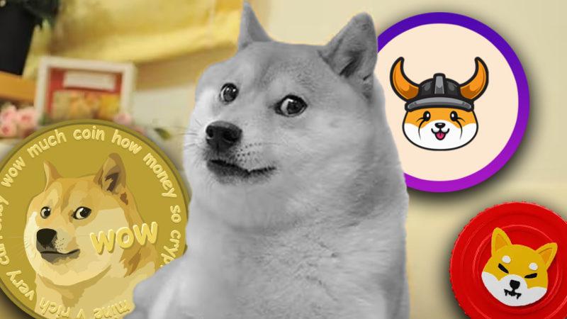 DOGE, SHIB, FLOKI ve Daha Pek Çok Memecoin’in Maskotu Köpek "Kabosu" Hayatını Kaybetti