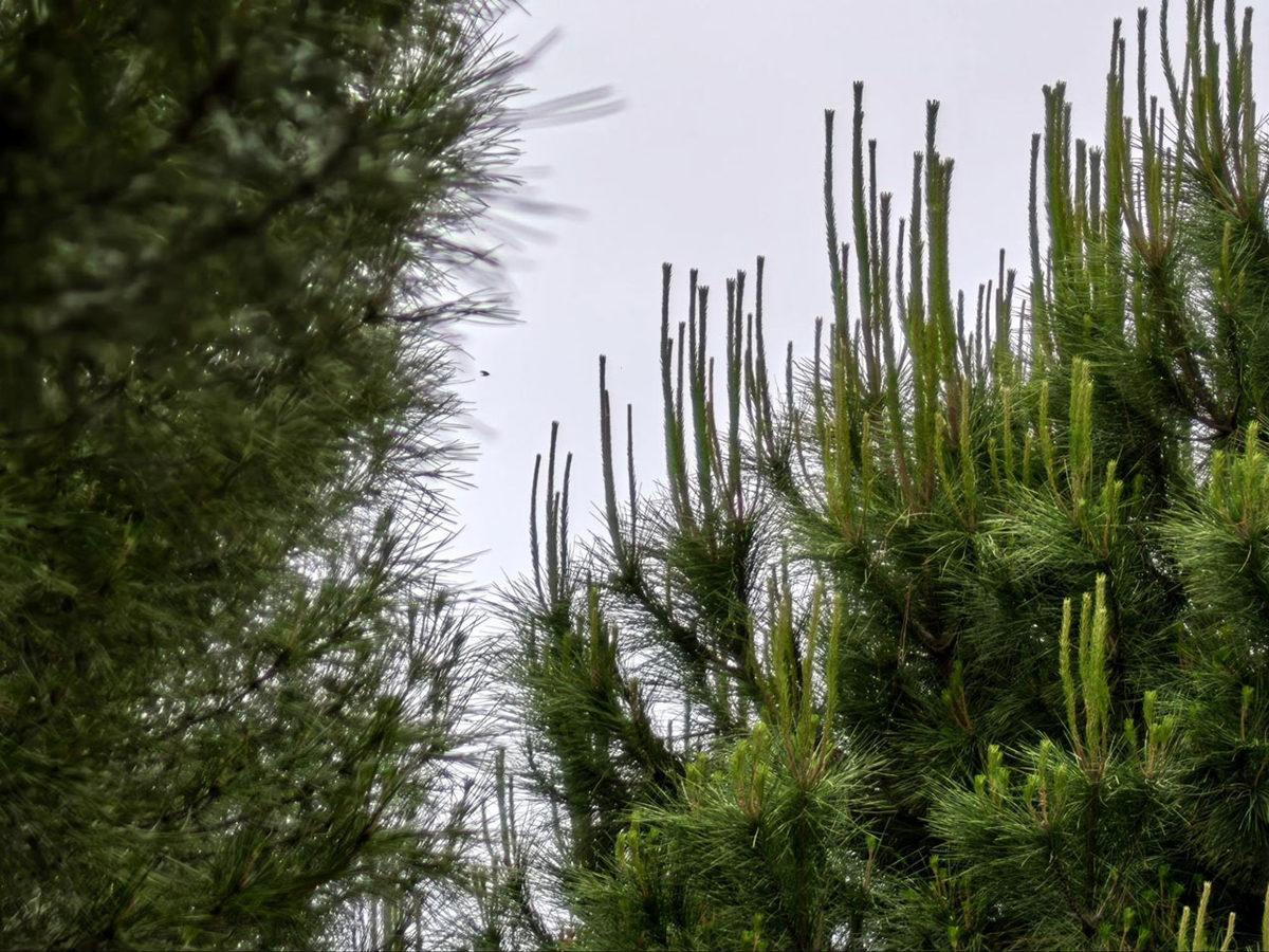 En İyi Kamera mı? Huawei Pura 70 Ultra’yı İnceledik!