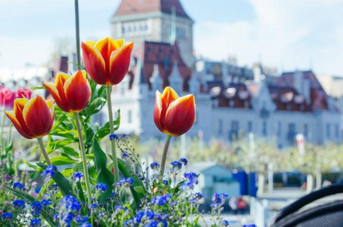 Programcılık Konusunda Zirve Yapmış En İyi 10 Ülke