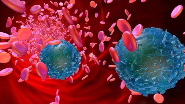 Kalp, Beyin ve Bacaklardaki Kan Pıhtılarda Mikroplastik Bulundu