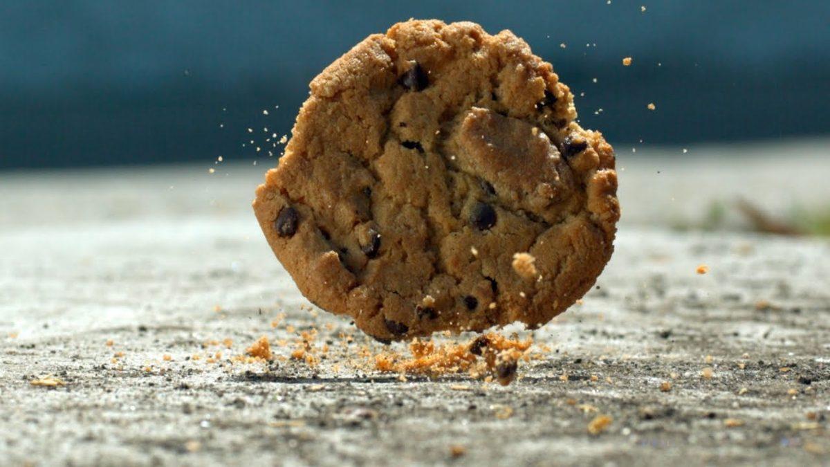 Yere Düşen Yemeğimizi 5 Saniye İçinde Alırsak Gerçekten Temiz Kalır mı? İşte Bilimin Cevabı!