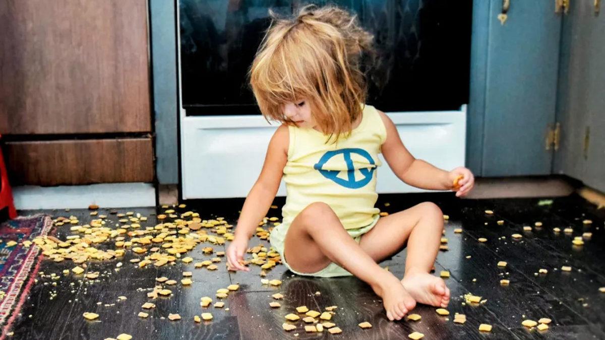 Yere Düşen Yemeğimizi 5 Saniye İçinde Alırsak Gerçekten Temiz Kalır mı? İşte Bilimin Cevabı!