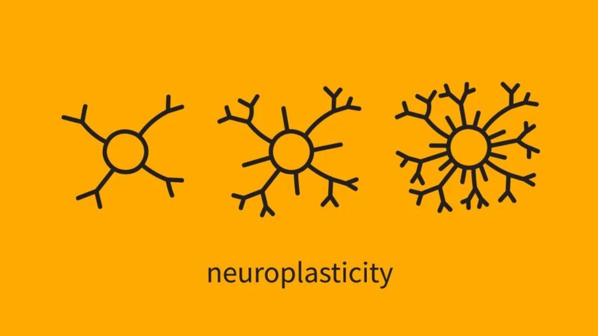 Bazıları Dün Ne Yediğini Bile Hatırlamazken Bazıları Nasıl Her Detayı Hatırlar?