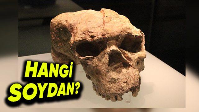 Çin’de Bulunan 1 Milyon Yıllık Gizemli Kafatasına Dair Çarpıcı Detaylar