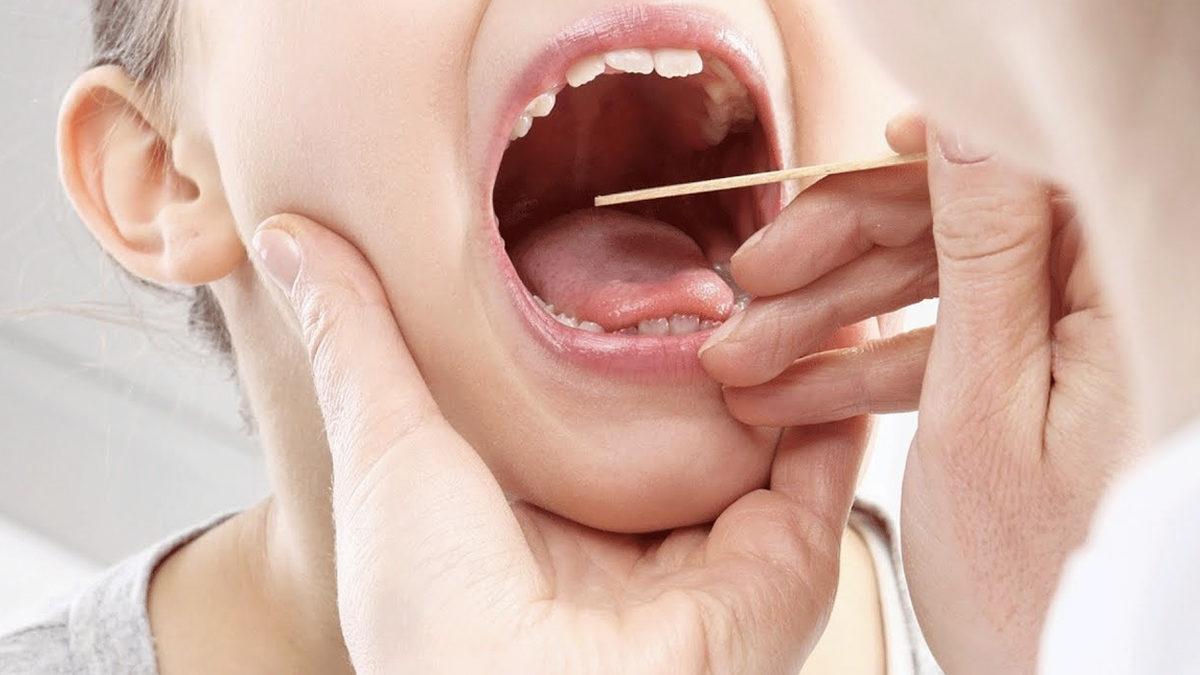 Bademcik ve Apandisten Daha Fazlası: Hangi Organlar Olmadan da Yaşamaya Devam Edebiliriz?