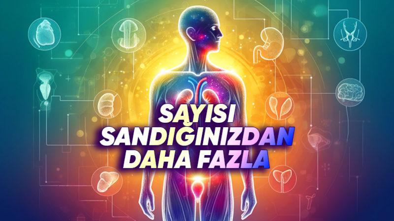 Bademcik ve Apandisten Daha Fazlası: Hangi Organlar Olmadan da Yaşamaya Devam Edebiliriz?