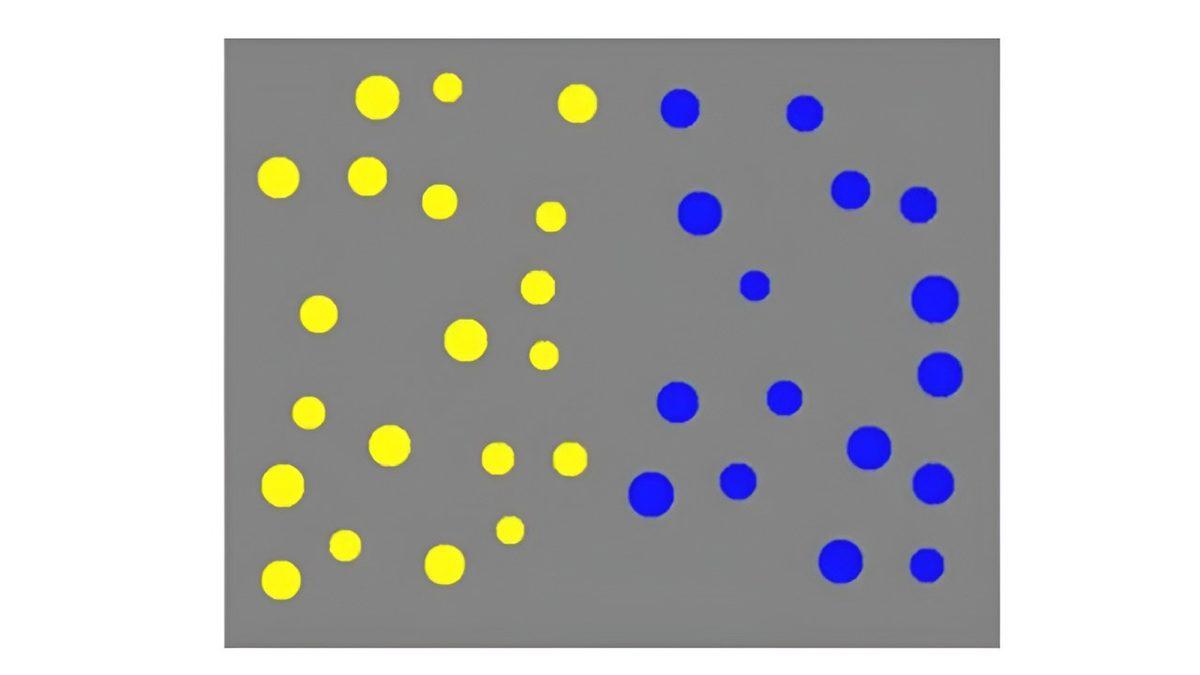 Doğuştan Geldiğini Düşündüğümüz Matematik Becerisini Sonradan Kazanmak Mümkün mü?