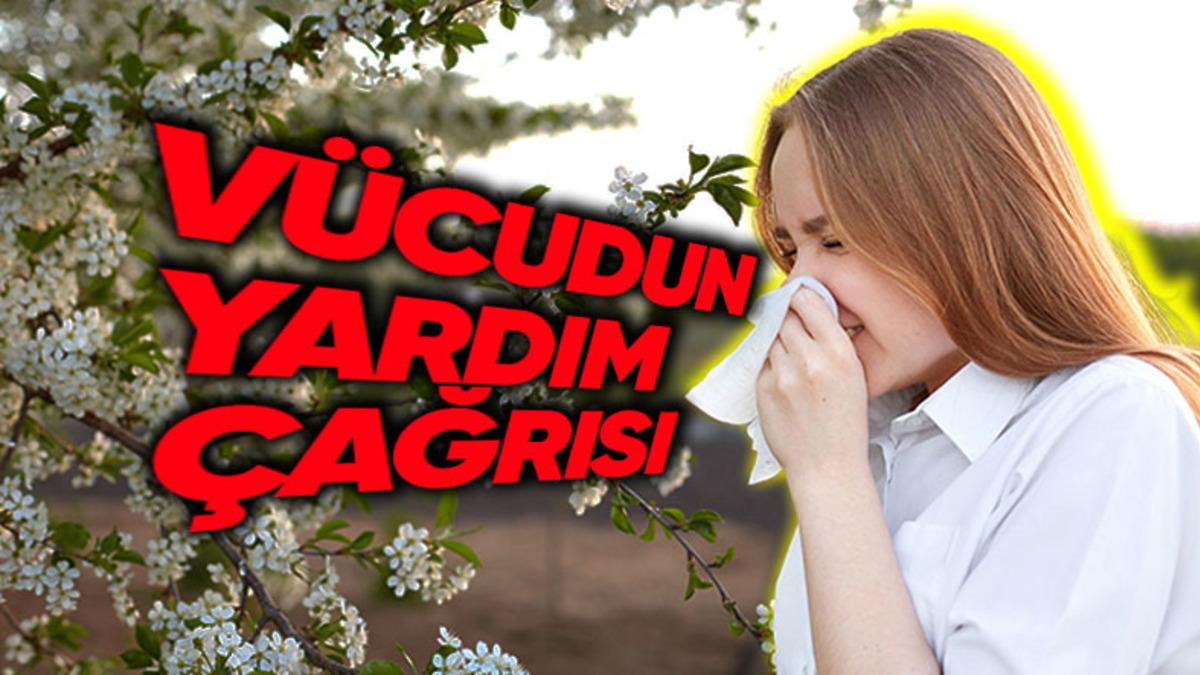 Milyonlarca Yürek Tek Bir Soru: Polen Neden Alerjiye Sebep Olur?