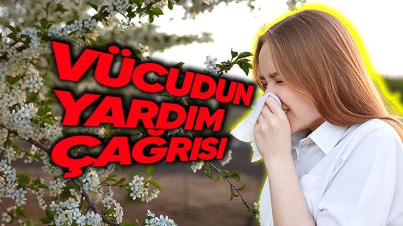 Milyonlarca Yürek Tek Bir Soru: Polen Neden Alerjiye Sebep Olur?