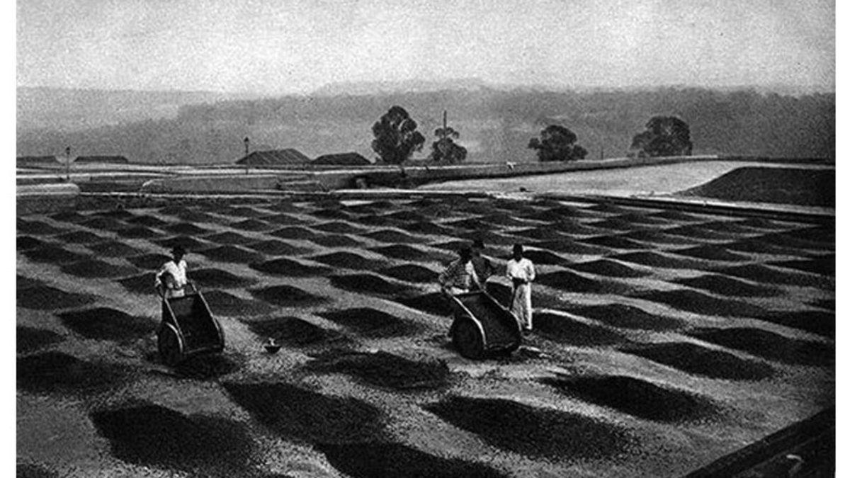 Osmanlı Devleti ve Brezilya’nın İyi Olan İlişkilerini Bozan Kahvenin 