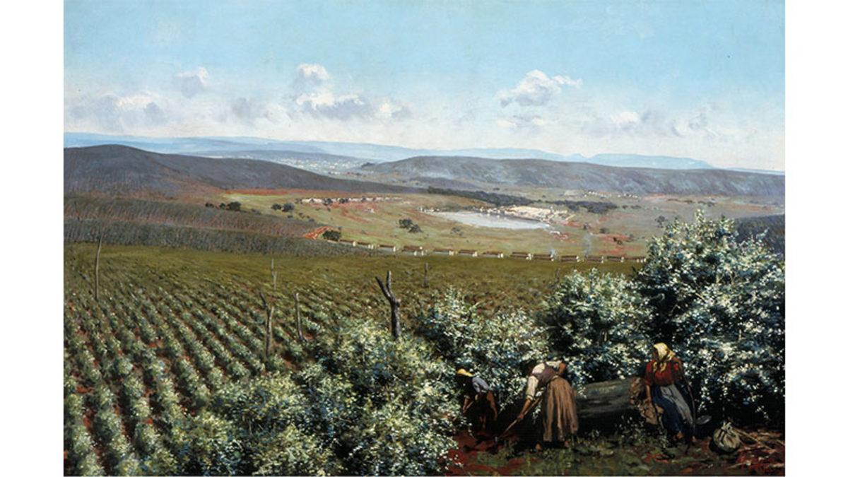 Osmanlı Devleti ve Brezilya’nın İyi Olan İlişkilerini Bozan Kahvenin 